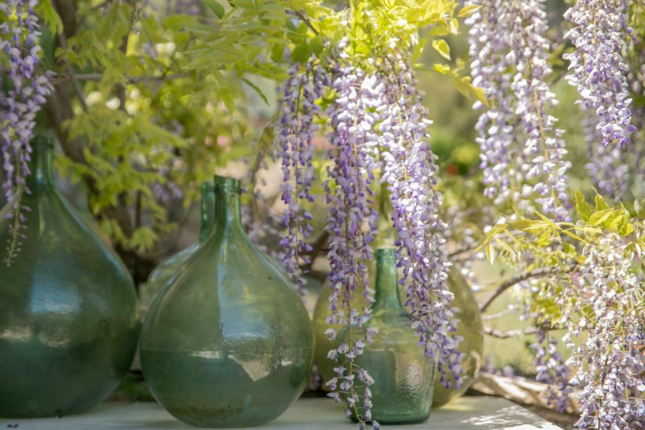 Campagne De La Source St Martin B&B Cotignac Esterno foto