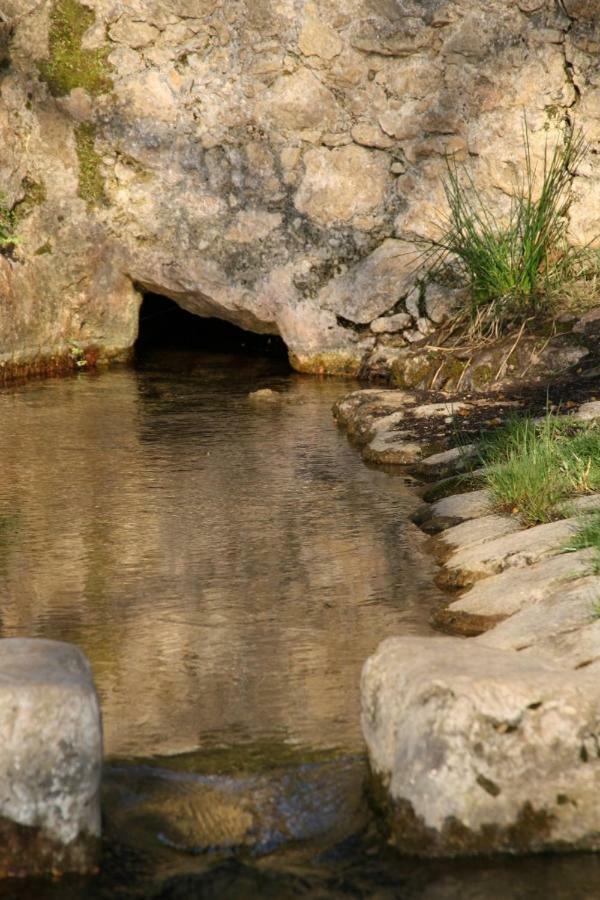 Campagne De La Source St Martin B&B Cotignac Esterno foto