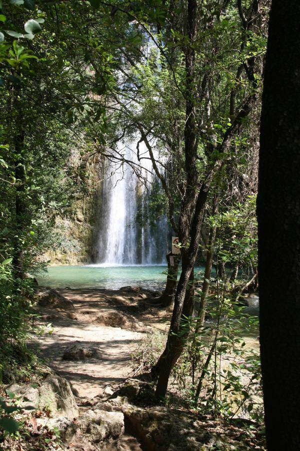 Campagne De La Source St Martin B&B Cotignac Esterno foto